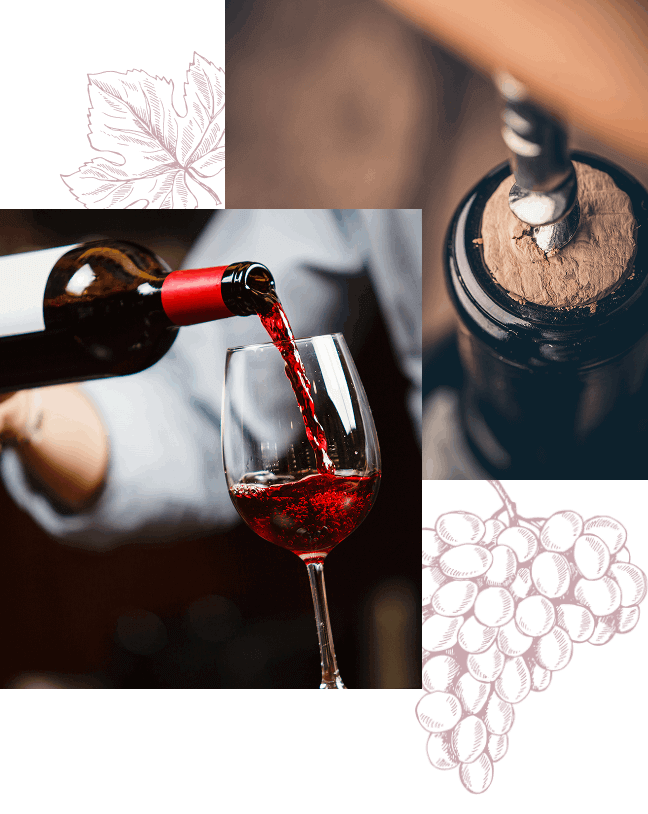 Dégustation vin