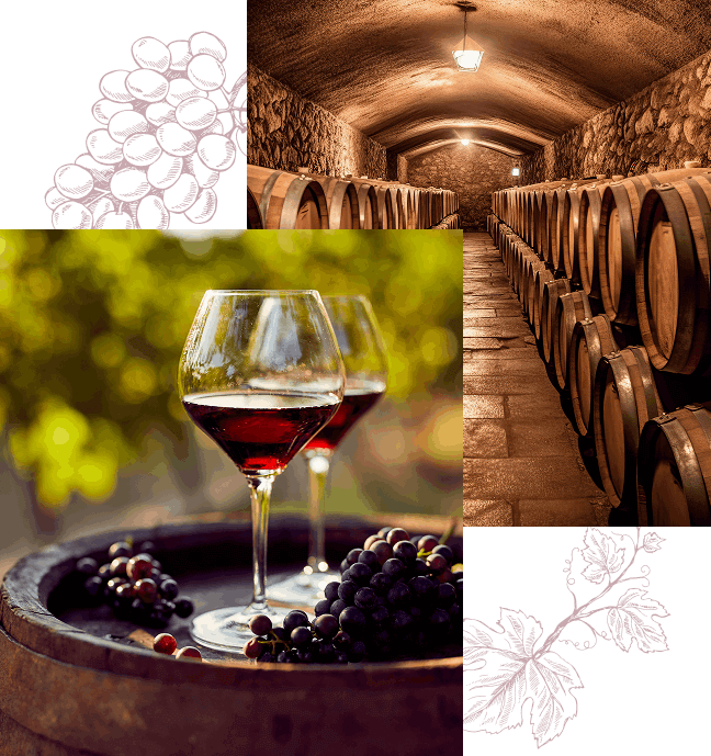 gouter des vins